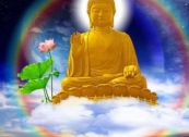 Tôi thấy Phật Tỳ Lô Xá Na